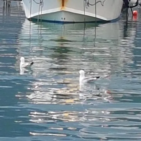 Centamore Apartamento