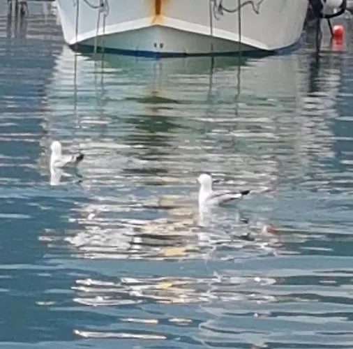 Centamore Apartament